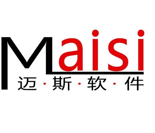 科技賦能，數(shù)智轉(zhuǎn)型 合肥邁斯軟件科技的軟件開發(fā)之道